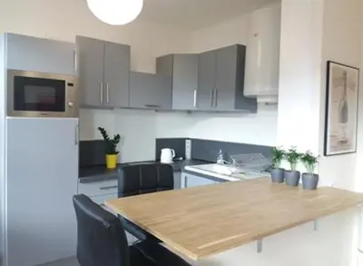 Cuisine ou kitchenette dans l'établissement Appt 2ème étage sur l’ile de Saumur