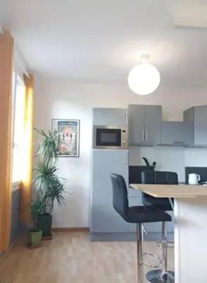 Cuisine ou kitchenette dans l'établissement Appt 2ème étage sur l’ile de Saumur