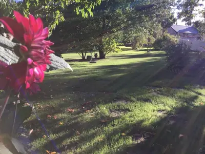 Jardin de l'établissement Les tilleuls de Mary