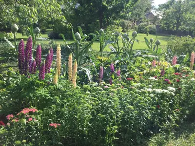 Jardin de l'établissement Les tilleuls de Mary