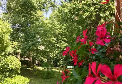 Jardin de l'établissement LA MAISON LEONARD