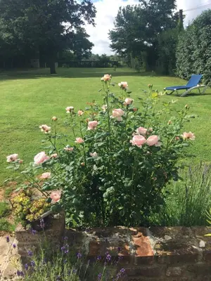 Jardin de l'établissement LE CLOS DU GOLF