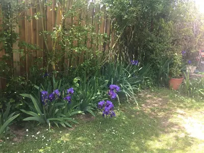 Jardin de l'établissement LE CLOS DU GOLF