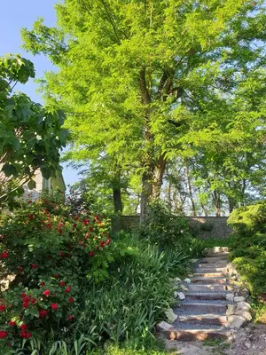Jardin de l'établissement Bois logis
