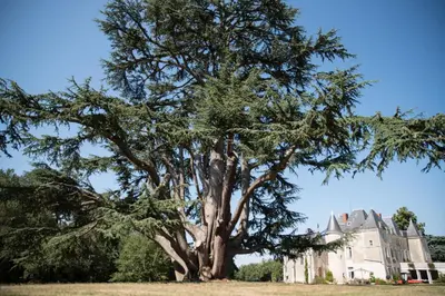 Plan de l'établissement Château de Piolant