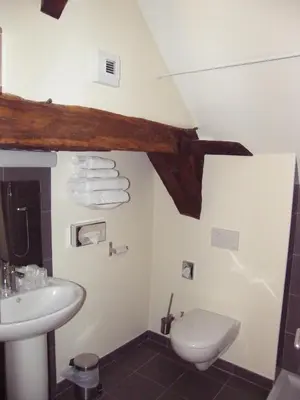 Salle de bains dans l'établissement Logis Hôtel Restaurant Le Puits Doré