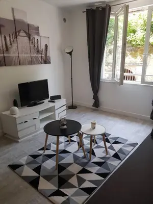 Télévision ou salle de divertissement dans l'établissement Le cosy d’Amboise