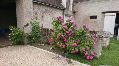 Jardin de l'établissement Longère du sud Touraine au Coeur du Val de Loire