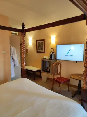 Télévision ou salle de divertissement dans l'établissement Hostellerie Les Hauts De Sainte Maure