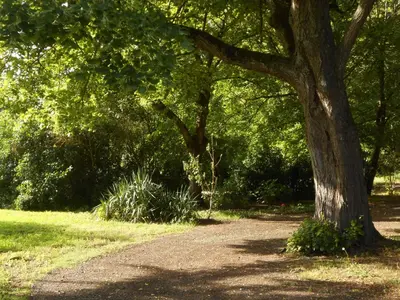 Jardin de l'établissement Clos du Bois Brard B&B
