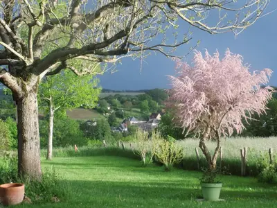 Jardin de l'établissement Chambre d'hôte du HOUSSAY à VALENNES 72320