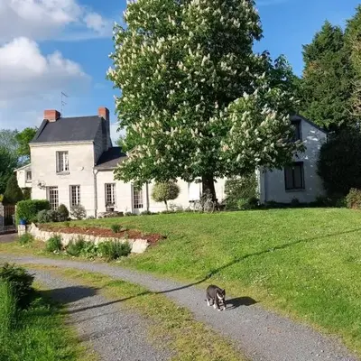 Chambres d'Hôtes de l'Ile du Saule