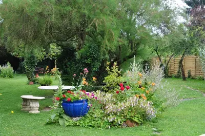 Jardin de l'établissement Logis Auberge Du Centre