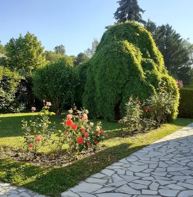 Jardin de l'établissement La Quietude