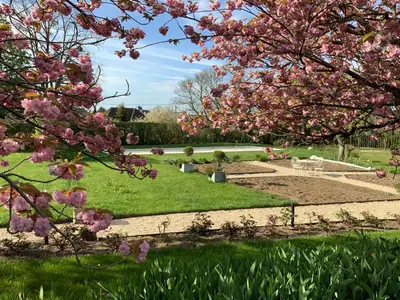 Jardin de l'établissement Le Gite du Chemin Vert