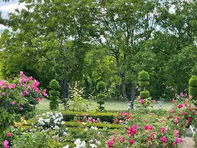 Jardin de l'établissement Les Jardins Haute Couture