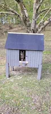 Plan de l'établissement La CASITA