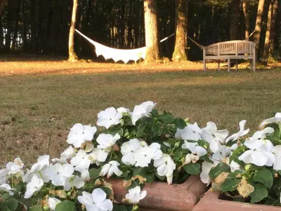 Jardin de l'établissement Château des Essards avec piscine et jacuzzi
