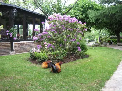 Jardin de l'établissement Le Relais de la Tour