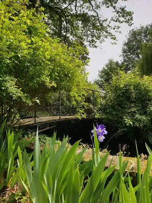 Jardin de l'établissement La Villa des Arts