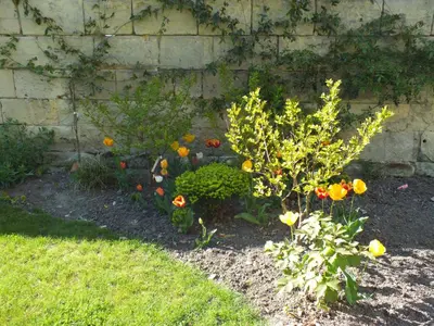 Jardin de l'établissement A la Fleur de Lys