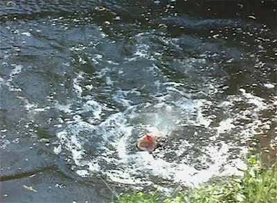 Paysage naturel près de le B&B/chambre d'hôtes