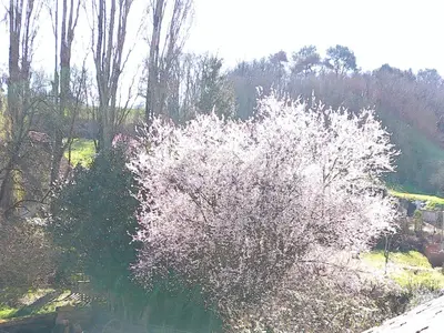Jardin de l'établissement A 2 pas d AZAY