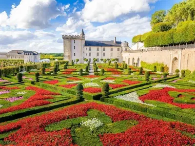 Jardin de l'établissement L'INTEMPOREL - A 300m de la gare de Tours