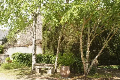 Jardin de l'établissement Ô 156