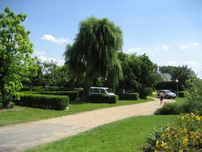 Jardin de l'établissement Camping de Marcilly sur Vienne