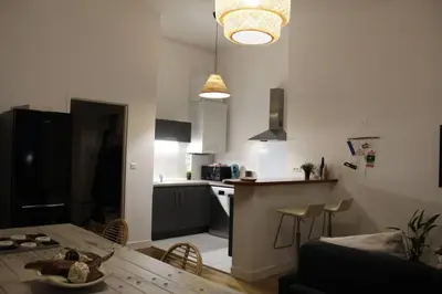 Cuisine ou kitchenette dans l'établissement Appartement vue imprenable sur la Loire !!!