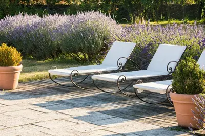 Jardin de l'établissement Le Clos des Fayes