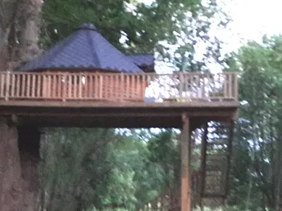 Plan de l'établissement CABANE DANS LES ARBRES