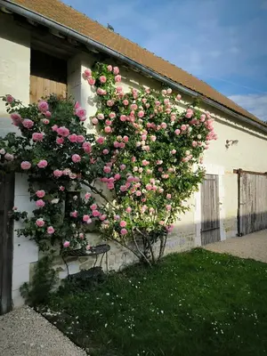 Jardin de l'établissement Les gites de la Planchette