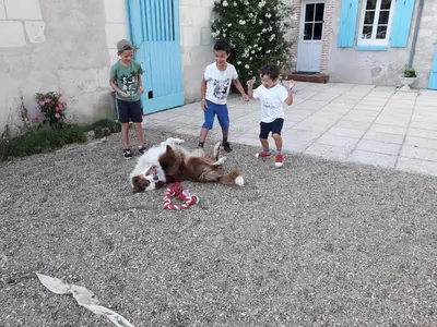 Enfants séjournant dans l'établissement Le Moulin Bleu