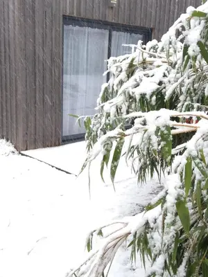 L'établissement Les Cabanes de Do en hiver