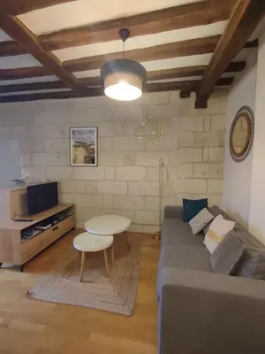 Télévision ou salle de divertissement dans l'établissement Lovely T2 in the heart of Tours