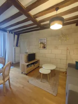 Télévision ou salle de divertissement dans l'établissement Lovely T2 in the heart of Tours