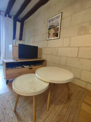 Télévision ou salle de divertissement dans l'établissement Lovely T2 in the heart of Tours