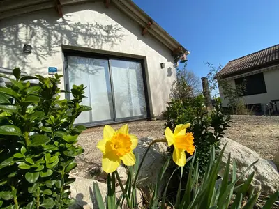 Jardin de l'établissement Cottage cosy avec spa privatif - escapade romantique Val de Loire