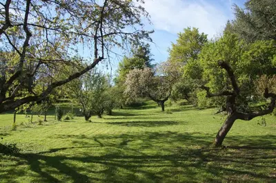 Jardin de l'établissement Cottage cosy avec spa privatif - escapade romantique Val de Loire