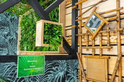 Jardin de l'établissement Kawaii - Domaine Tropical
