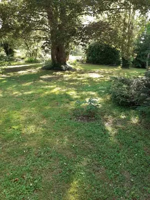 Jardin de l'établissement gîte 