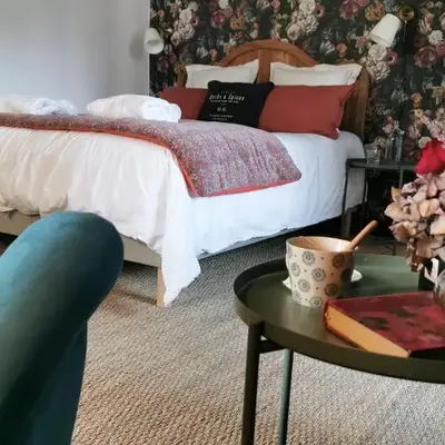 Quatre Chats sous un Pin