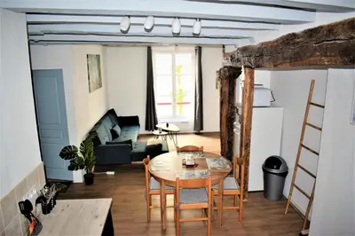 Cuisine ou kitchenette dans l'établissement Gite Le Nid des Zoo Zio, 5mn Beauval, appartement terrasse centre-ville