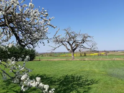 Paysage naturel près de le B&B/chambre d'hôtes