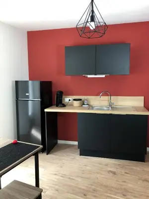 Cuisine ou kitchenette dans l'établissement Grand appartement fonctionnel proche centre-ville