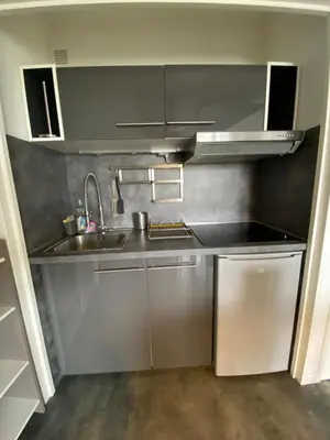 Cuisine ou kitchenette dans l'établissement Appartement du Val de Loire