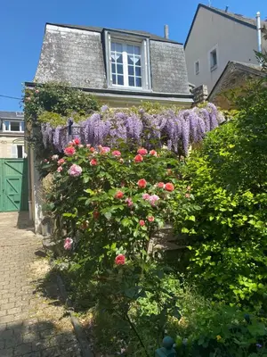 Jardin de l'établissement 2 chambres, 4 a 6 voyageurs en centre ville, à 5 mins du zoo