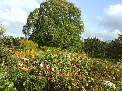 Jardin de l'établissement Gîte Champêtre avec Piscine Chauffée, Cheminée, et Terrasse en Plein Sud - FR-1-410-131